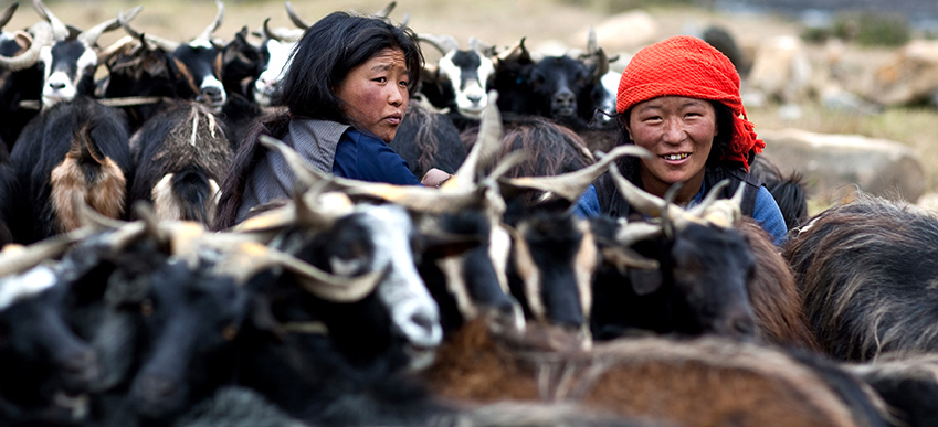 Lower Dolpo Circuit Trek