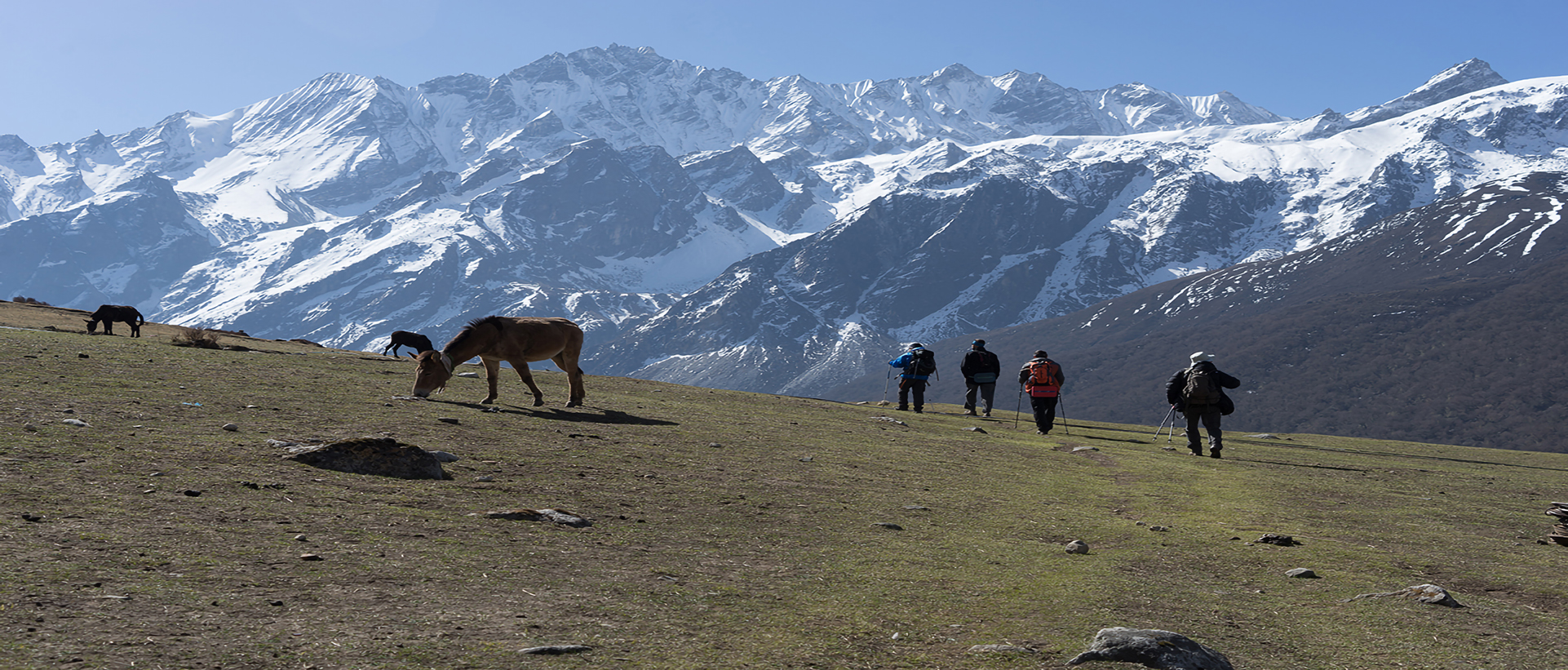 LOVELY LANGTANG -“A Vistas To Die For”