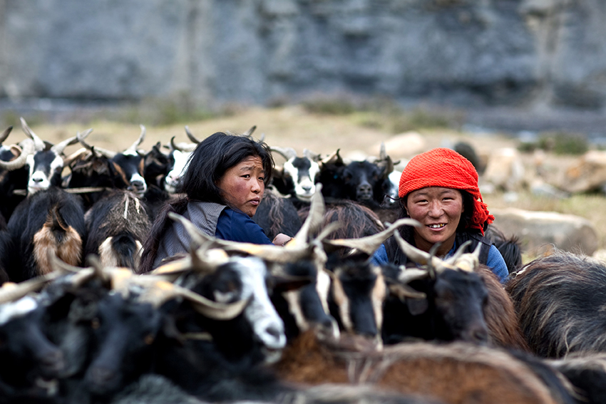 Lower Dolpo Circuit Trek